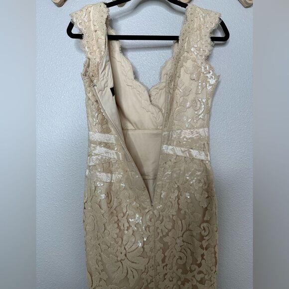 TADASHI Shoji Primrose Embroidered Lace Sheath Cocktail Dress Ivory Nude Size 4 - Picture 9 of 10